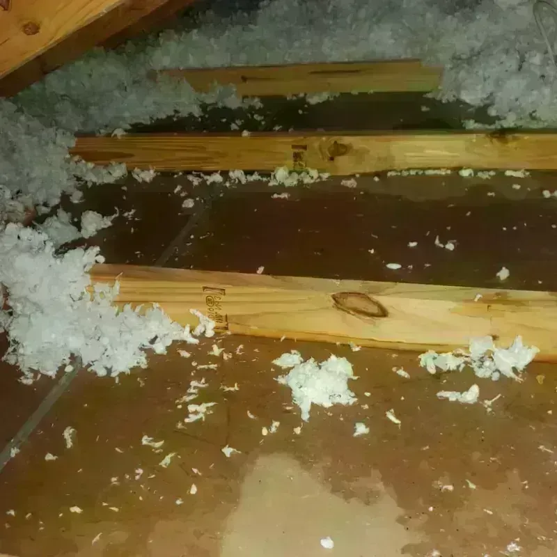 Attic Water Damage in Davis, OK