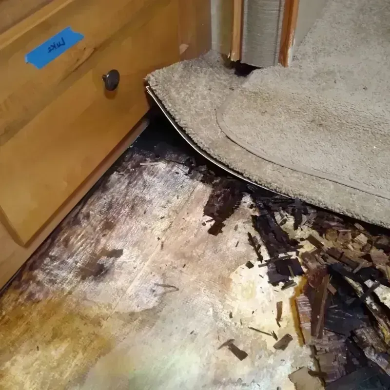 Wood Floor Water Damage in Davis, OK